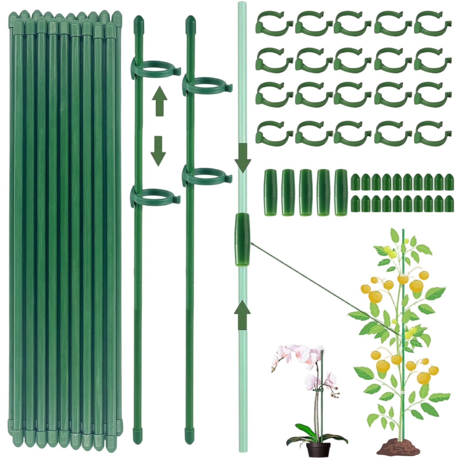 Gardening Tools Holder - Plant Supports Rod Single Stem Shrub