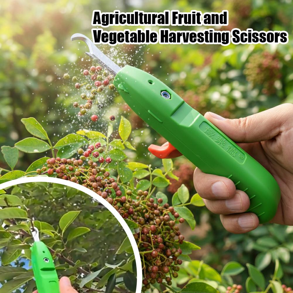Pruning Shears for Gardening A - Gardening Tools Scissors ulasan dan harga