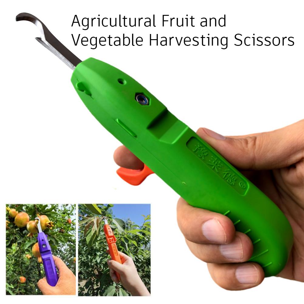 Pruning Shears for Gardening A - Gardening Tools Scissors ulasan dan harga