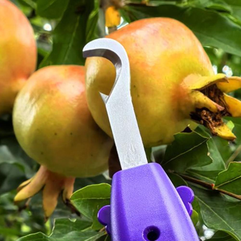 Pruning Shears for Gardening A - Gardening Tools Scissors ulasan dan harga