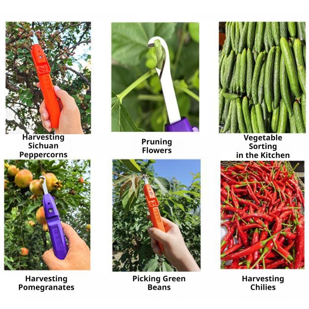 Pruning Shears for Gardening A - Gardening Tools Scissors ulasan dan harga