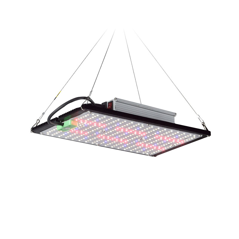 LED Quantum‑Board Grow Light F - Led Grow Light ulasan dan harga