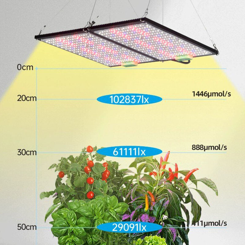 LED Quantum‑Board Grow Light F - Led Grow Light ulasan dan harga