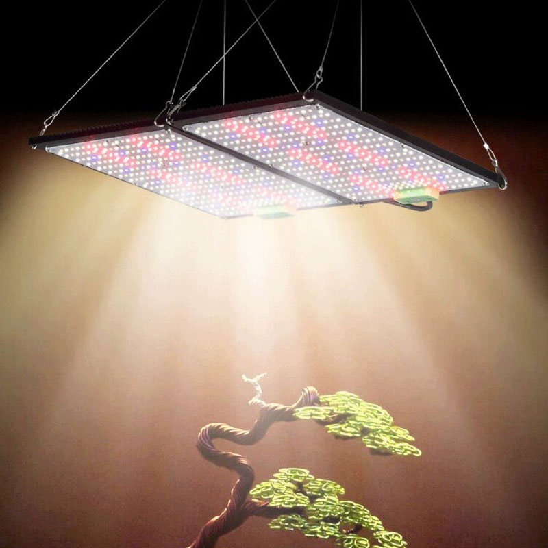 LED Quantum‑Board Grow Light F - Led Grow Light ulasan dan harga