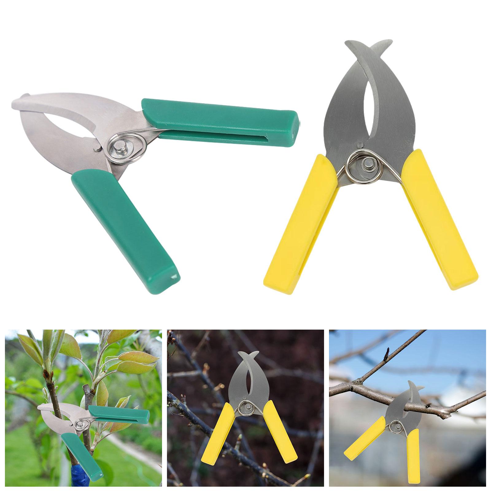 Ring Barking Cutter Scissor Ga - Gardening Tools Scissors ulasan dan harga