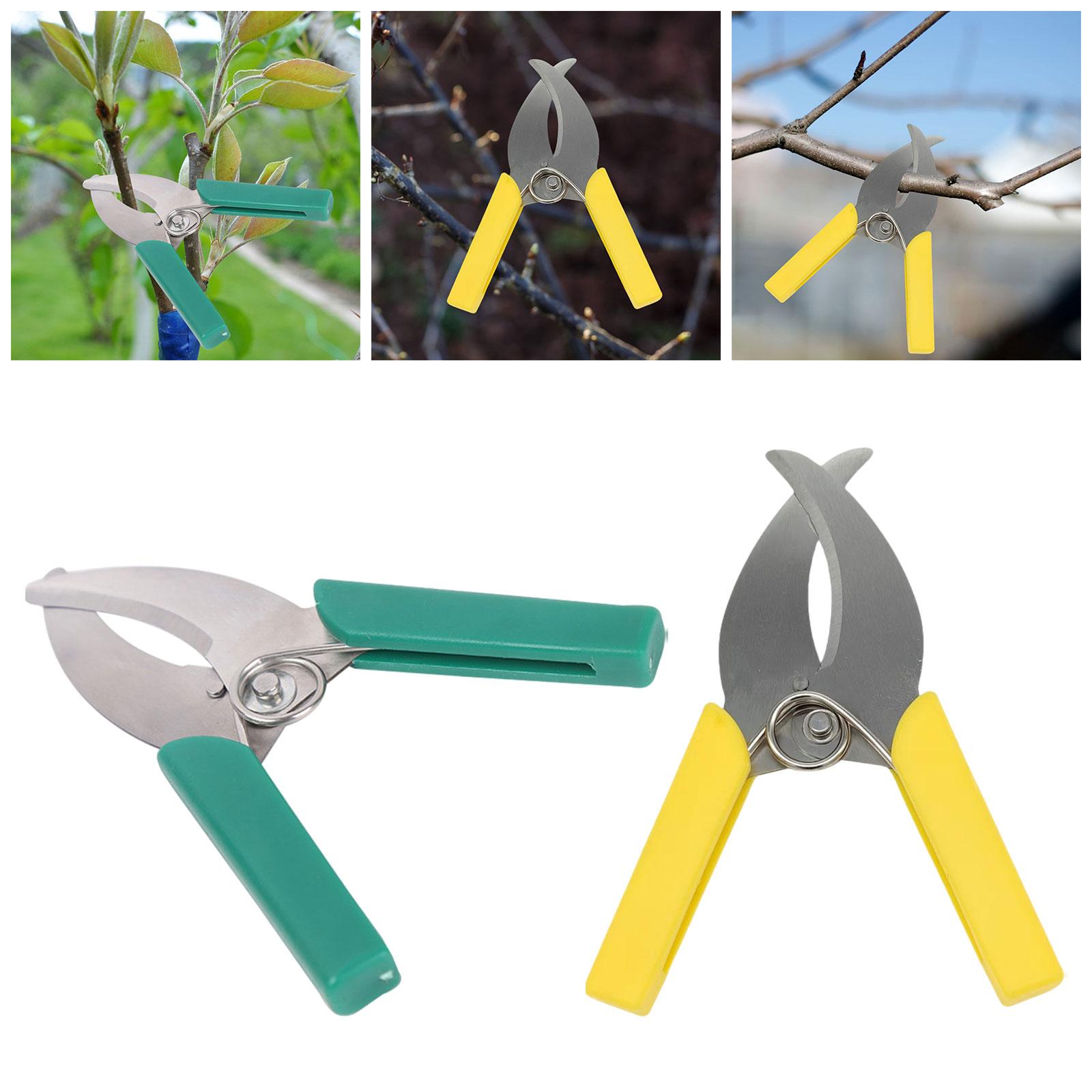 Ring Barking Cutter Scissor Ga - Gardening Tools Scissors ulasan dan harga