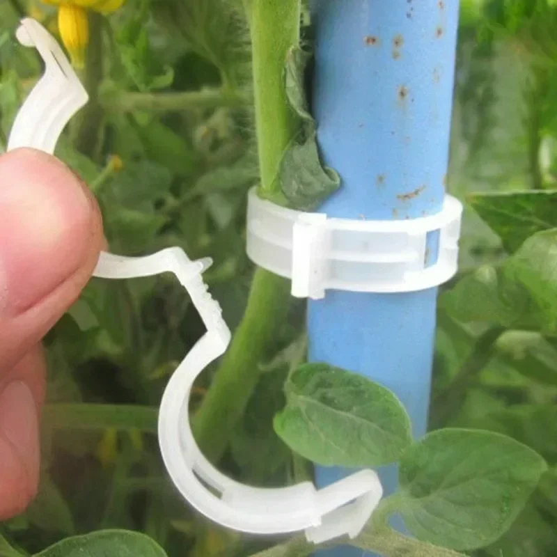 50-300PCS Plant Support Clips  - Gardening Tools Holder ulasan dan harga