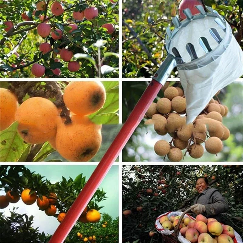 Garden Fruit Picker, Telescopi - Gardening Tools Scissors ulasan dan harga