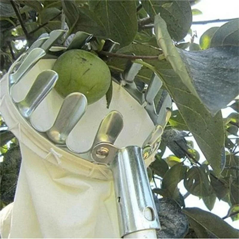 Garden Fruit Picker, Telescopi - Gardening Tools Scissors ulasan dan harga