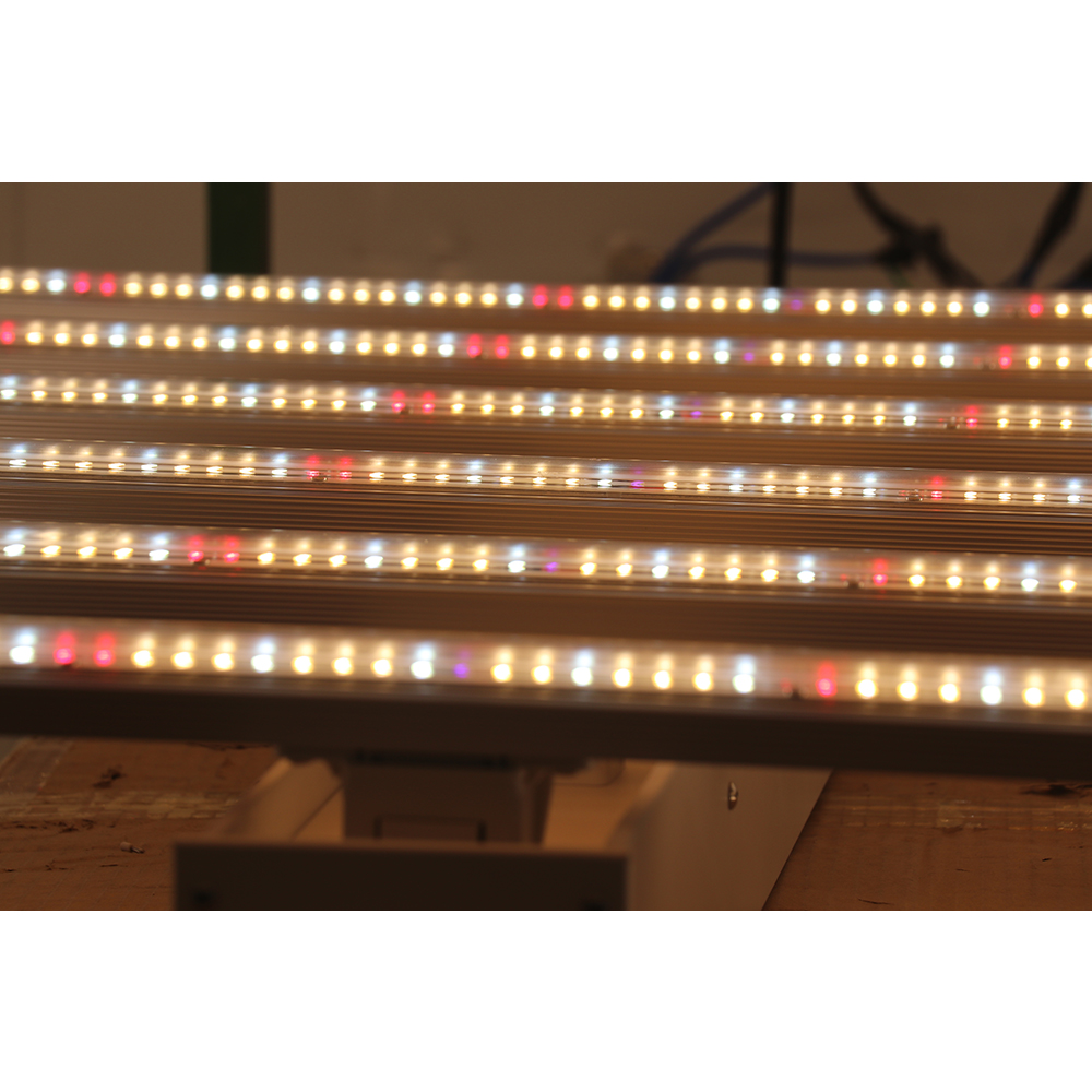 2023 Drop-shipping Factory Dir - Led Grow Light ulasan dan harga