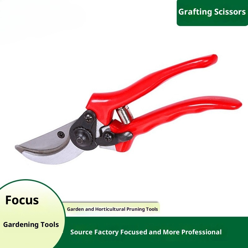 Premium Grafting Pruning Shear - Gardening Tools Quality ulasan dan harga