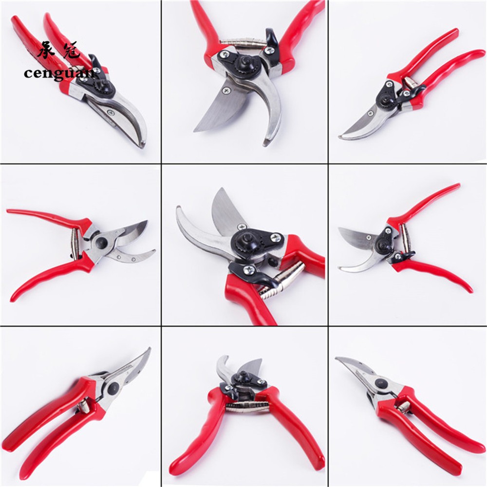 Premium Grafting Pruning Shear - Gardening Tools Quality ulasan dan harga