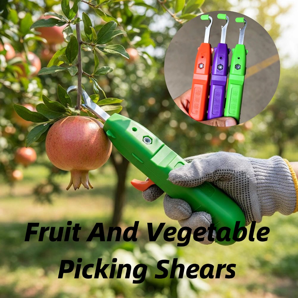 Fruit And Vegetable Picking Sh - Gardening Tools Scissors ulasan dan harga