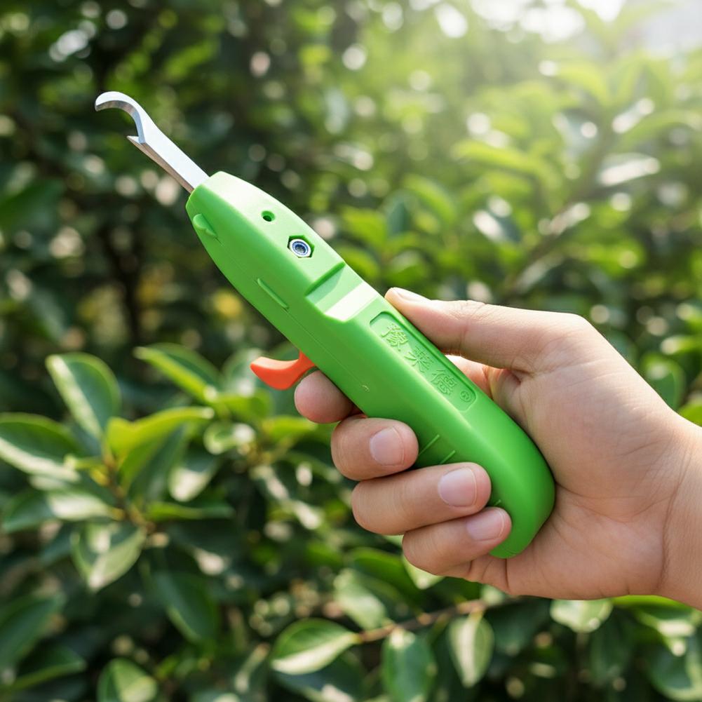 Fruit And Vegetable Picking Sh - Gardening Tools Scissors ulasan dan harga