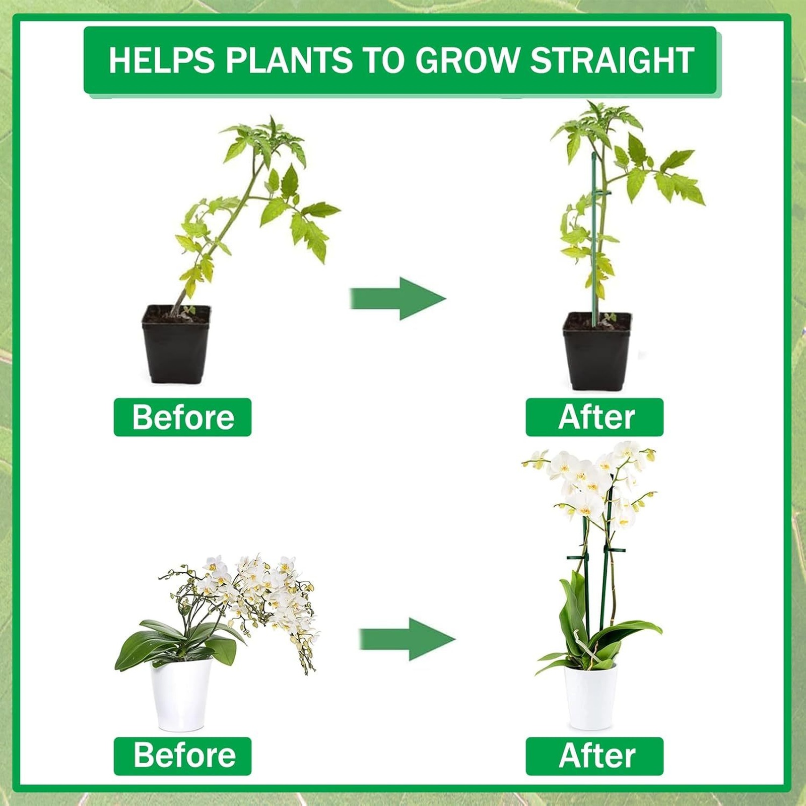 Plant Supports Rod Single Stem - Gardening Tools Holder ulasan dan harga