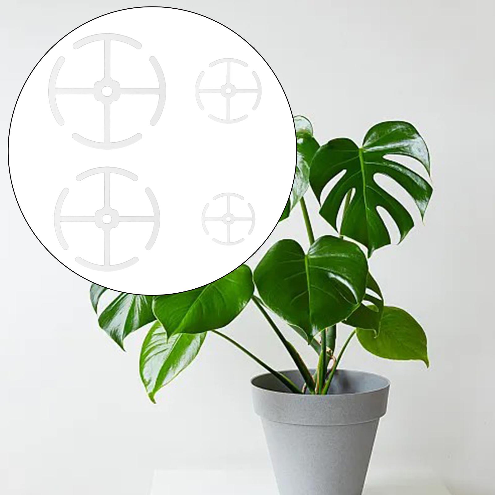 Plastic Plant Stem Holders Mul - Gardening Tools Holder ulasan dan harga