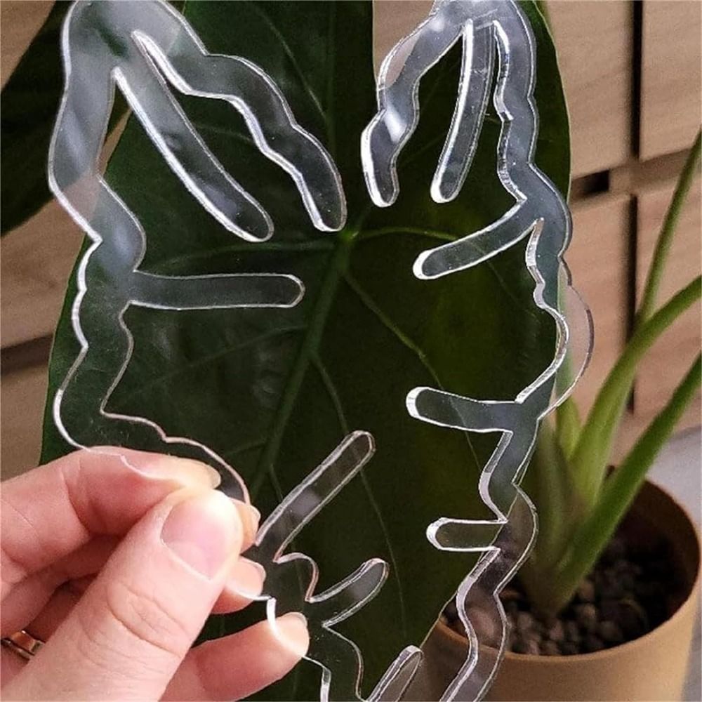 Reusable Turtle Shell Bamboo C - Gardening Tools Holder ulasan dan harga