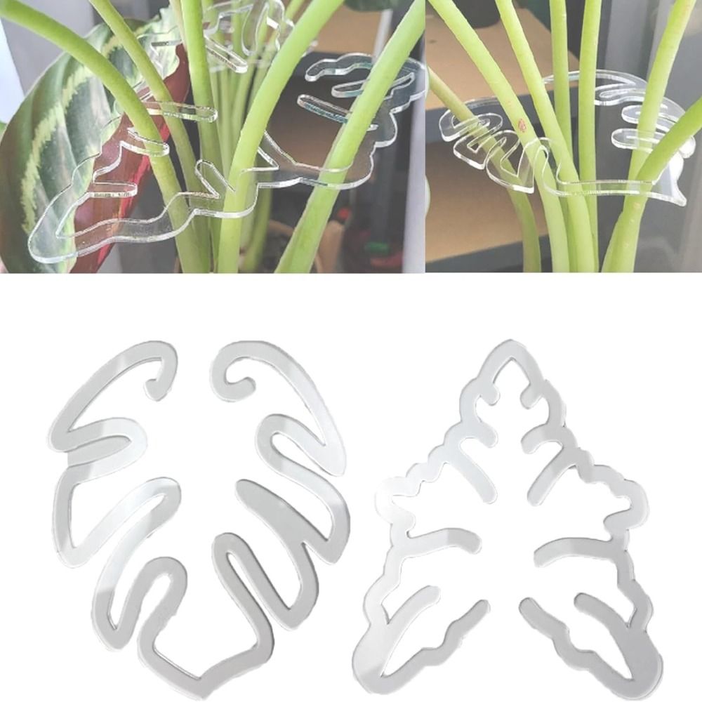 Reusable Turtle Shell Bamboo C - Gardening Tools Holder ulasan dan harga