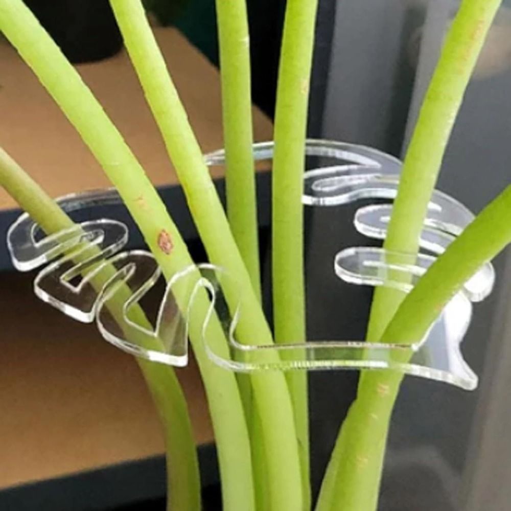 Reusable Turtle Shell Bamboo C - Gardening Tools Holder ulasan dan harga