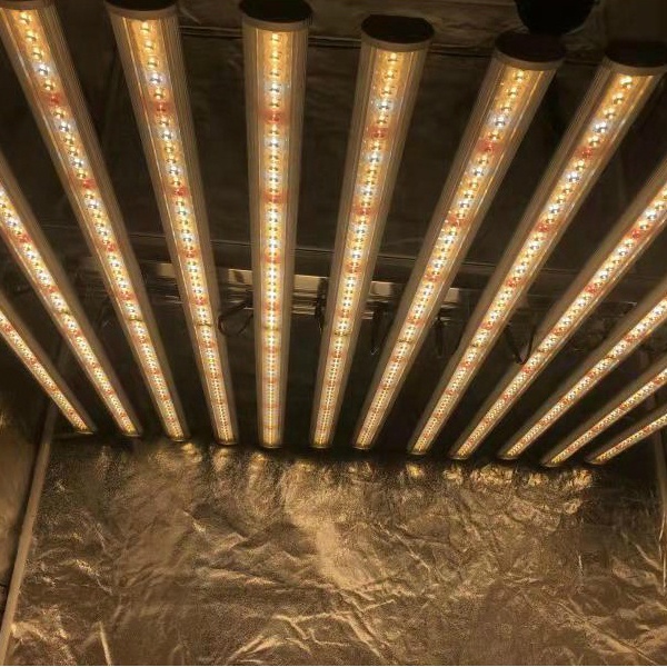 LUX China Factory Led Plant Li - Led Grow Light ulasan dan harga