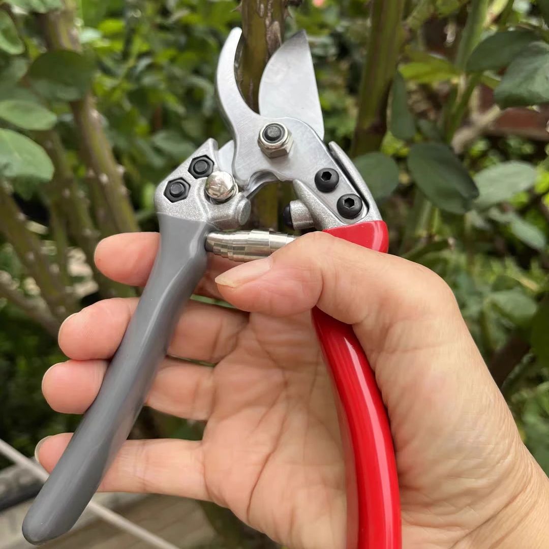 Japan Vvt New Sk5 Strong Garde - Gardening Tools In Japan ulasan dan harga