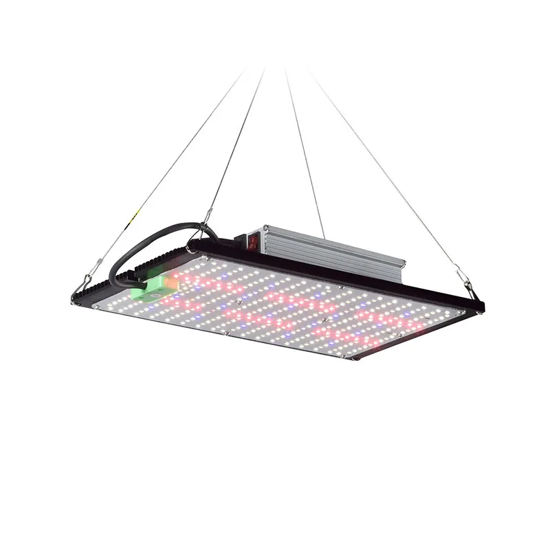 LED Quantum‑Board Grow Light F - Led Grow Light ulasan dan harga