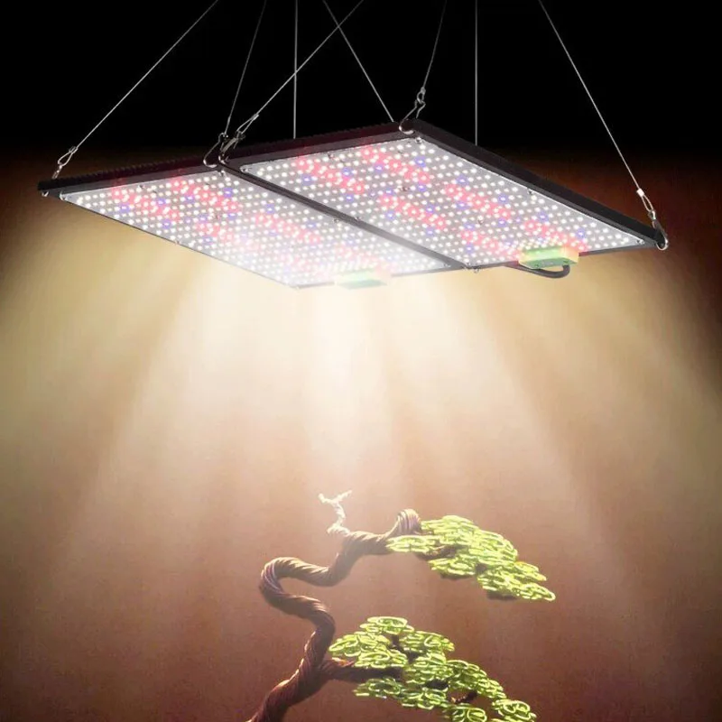 LED Quantum‑Board Grow Light F - Led Grow Light ulasan dan harga