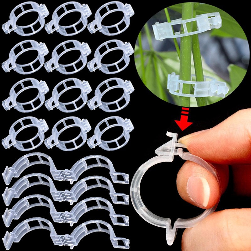 300/50PCS Plant Support Clips  - Gardening Tools Holder ulasan dan harga