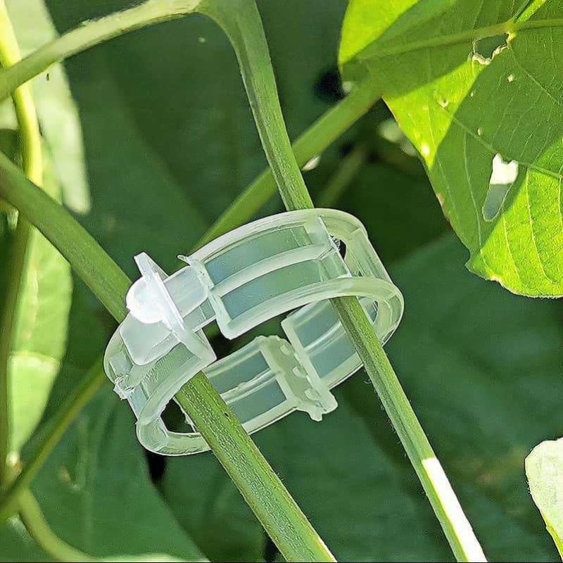 300/50PCS Plant Support Clips  - Gardening Tools Holder ulasan dan harga