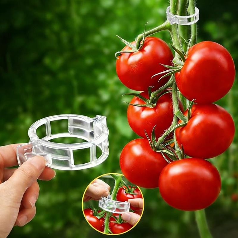300/50PCS Plant Support Clips  - Gardening Tools Holder ulasan dan harga
